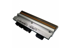 Citizen PPM80001-00, print head